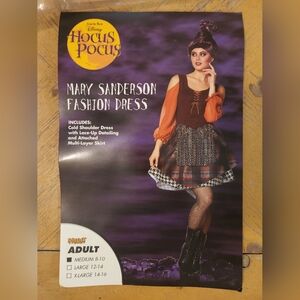 Mary Sanderson Costume